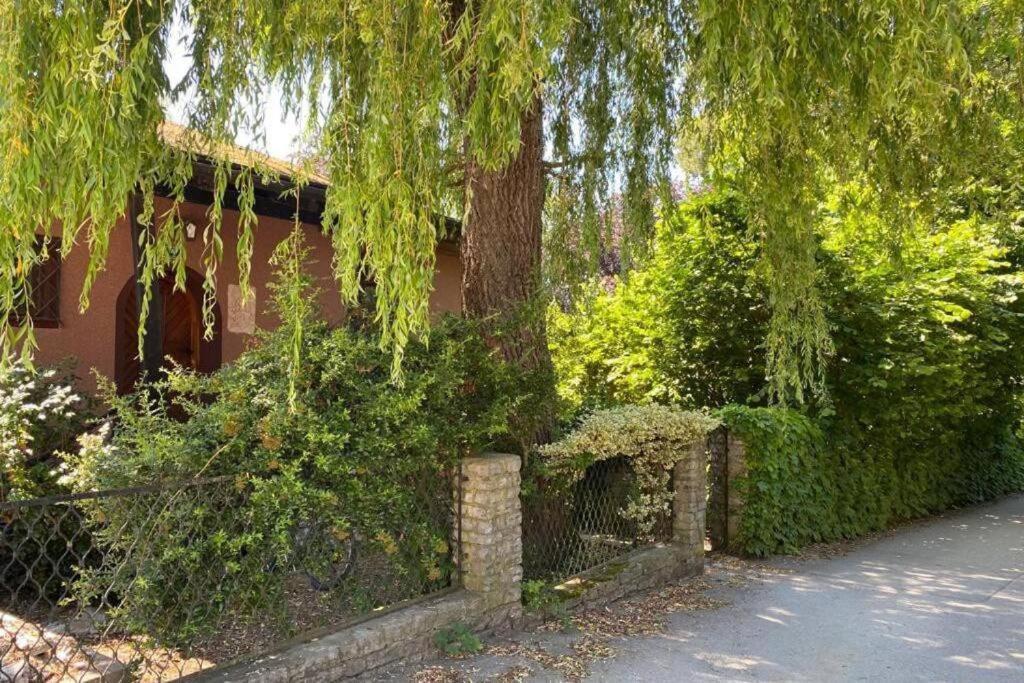 Gartenwohnung 5 Min. Zur Stadt Hagenau Exteriér fotografie